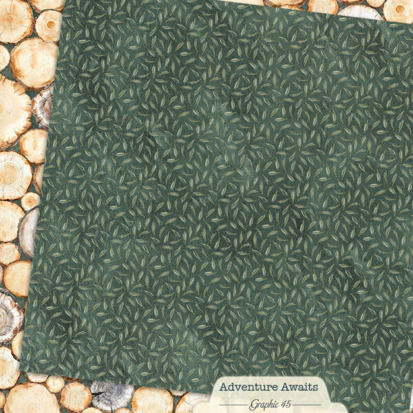 Graphic 45 Adventure Awaits 12X12 Tree Rings