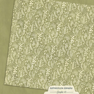 Graphic 45 Adventure Awaits 12X12 Fern Green Patterns and Solids