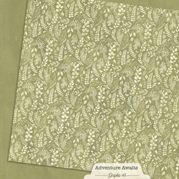 Graphic 45 Adventure Awaits 12X12 Fern Green Patterns and Solids