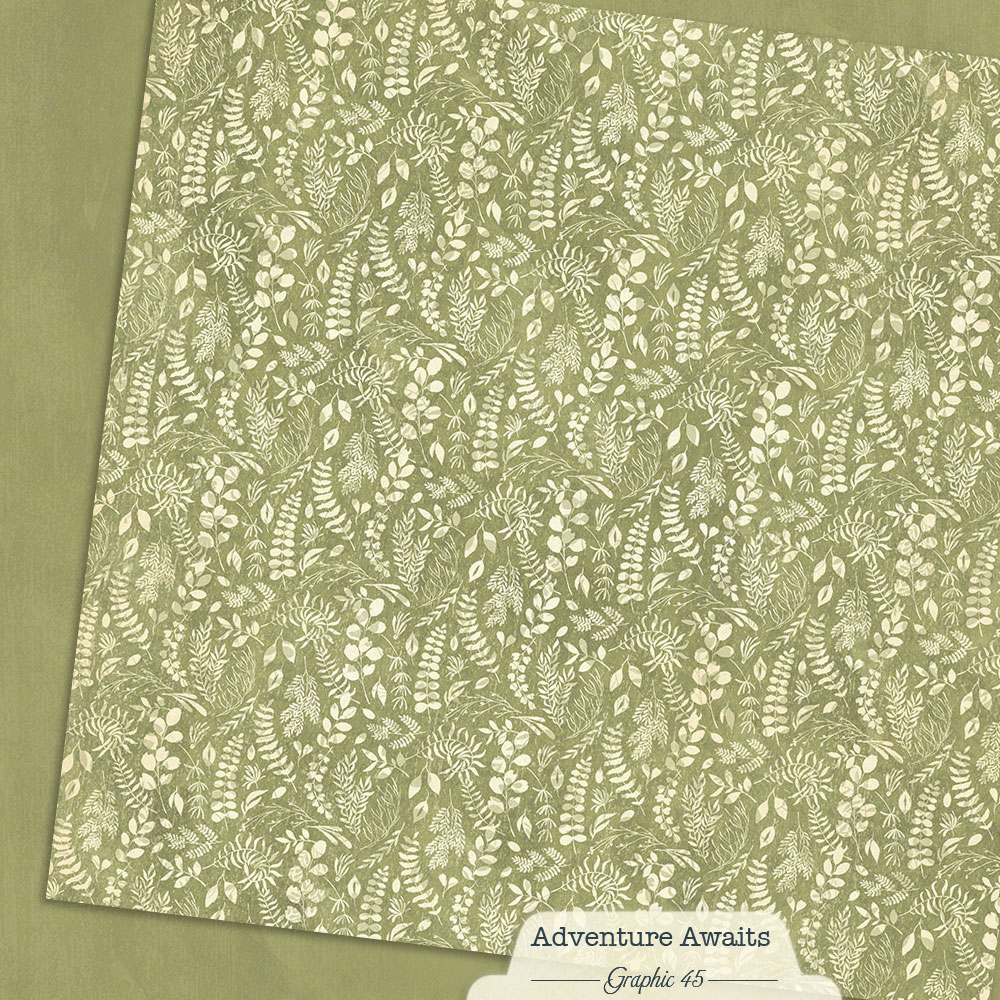 Graphic 45 Adventure Awaits 12X12 Fern Green Patterns and Solids