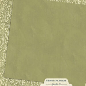 Graphic 45 Adventure Awaits 12X12 Fern Green Patterns and Solids