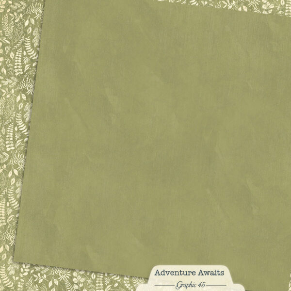 Graphic 45 Adventure Awaits 12X12 Fern Green Patterns and Solids