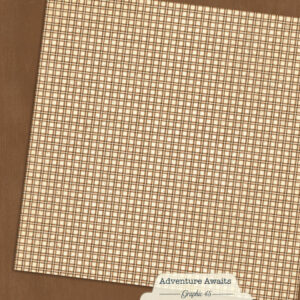 Graphic 45 Adventure Awaits 12X12 Woodland Brown Patterns and Solids