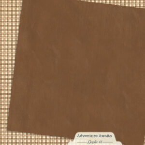 Graphic 45 Adventure Awaits 12X12 Woodland Brown Patterns and Solids