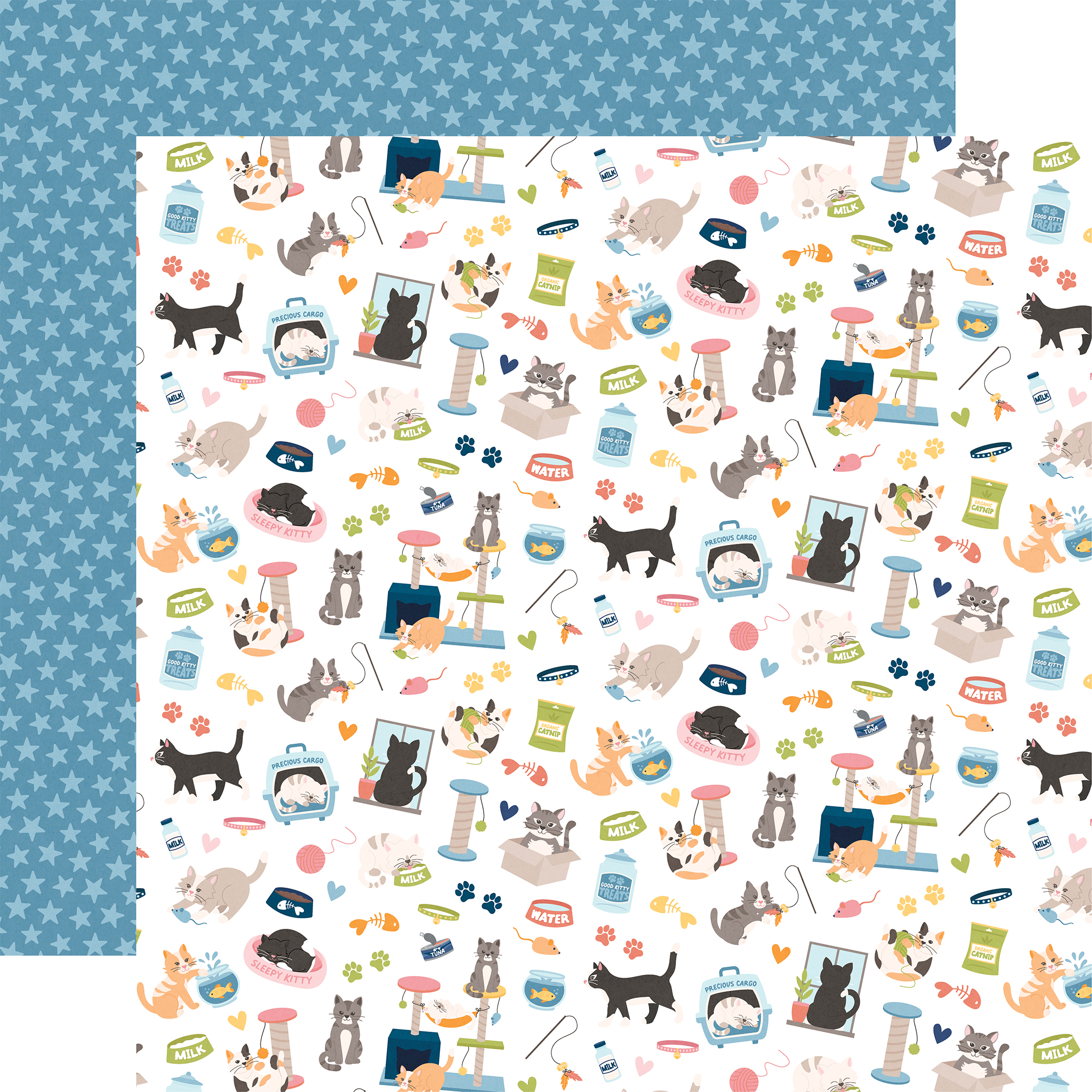 Echo Park Cat Lover 12X12 Cat Lover