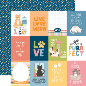 Echo Park Cat Lover 12X12 3X4 Journaling Cards
