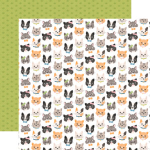 Echo Park Cat Lover 12X12 Live Love Meow