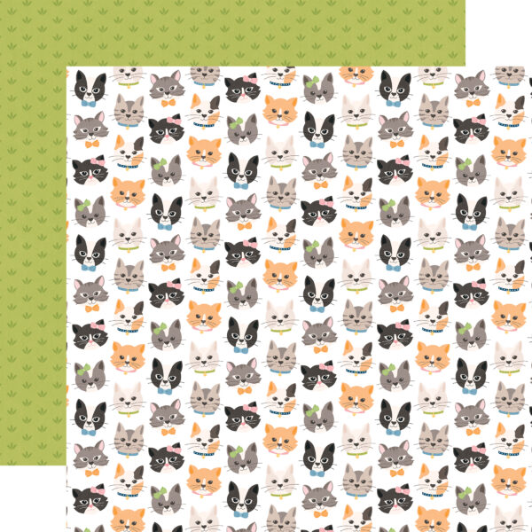 Echo Park Cat Lover 12X12 Live Love Meow Echo Park Cat Lover 12X12 Live Love Meow