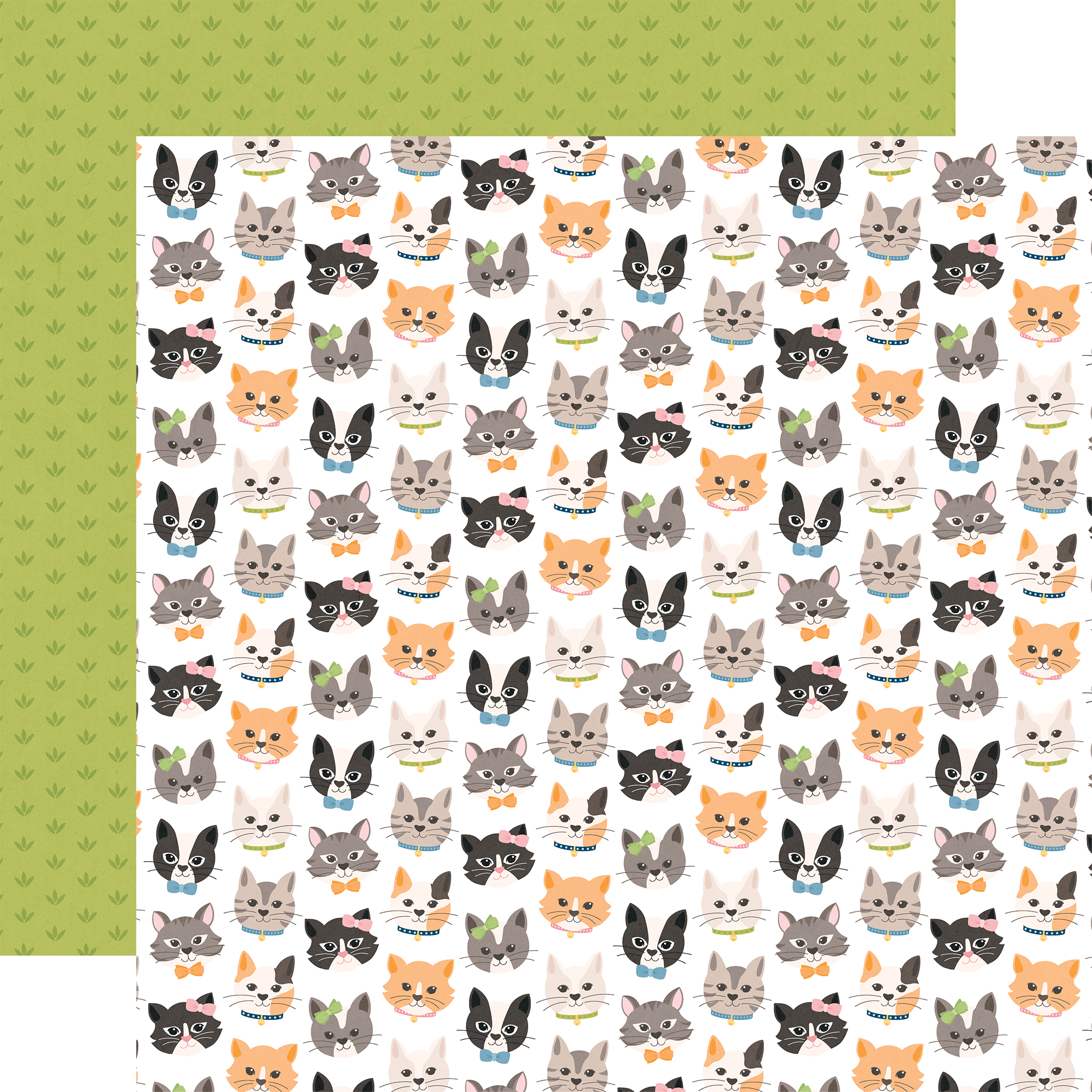 Echo Park Cat Lover 12X12 Live Love Meow