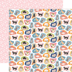 Echo Park Cat Lover 12X12 Cute Cats