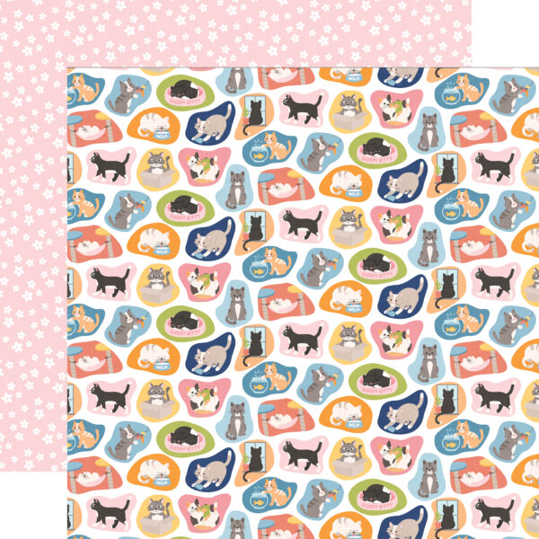 Echo Park Cat Lover 12X12 Cute Cats Echo Park Cat Lover 12X12 Cute Cats