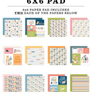 Echo Park Cat Lover 6X6 Paper Pad