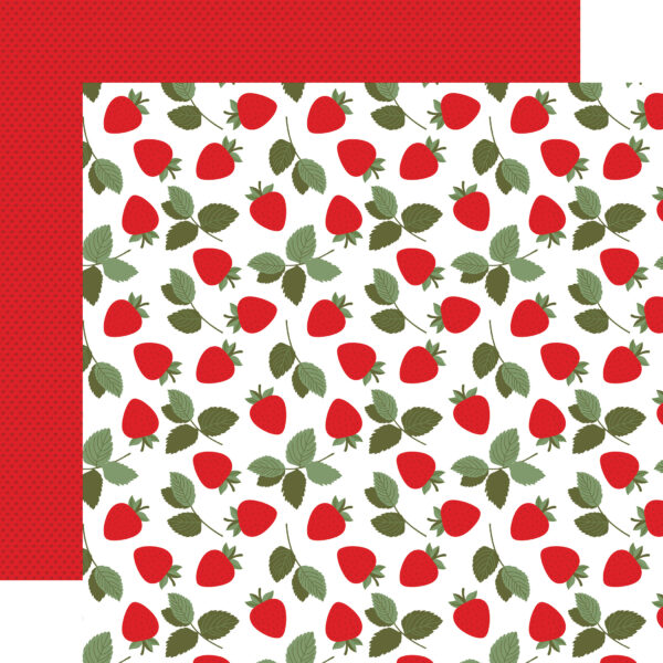 Echo Park Strawberry Fields 12X12 Strawberry Patch Echo Park Strawberry Fields 12X12 Strawberry Patch