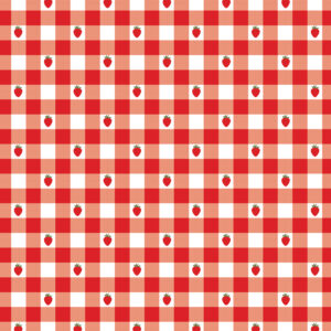 Echo Park Strawberry Fields 12X12 Strawberry Gingham