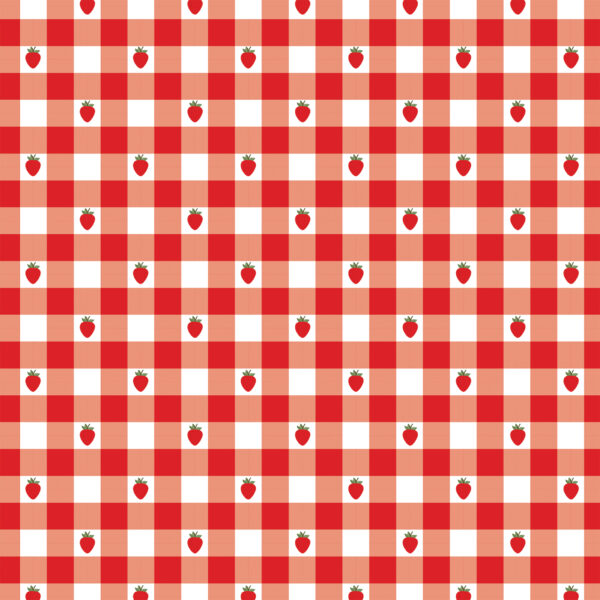 Echo Park Strawberry Fields 12X12 Strawberry Gingham