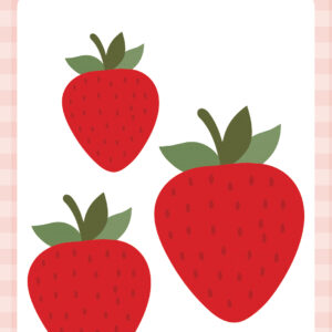 Echo Park Strawberry Fields Die Strawberry Trio