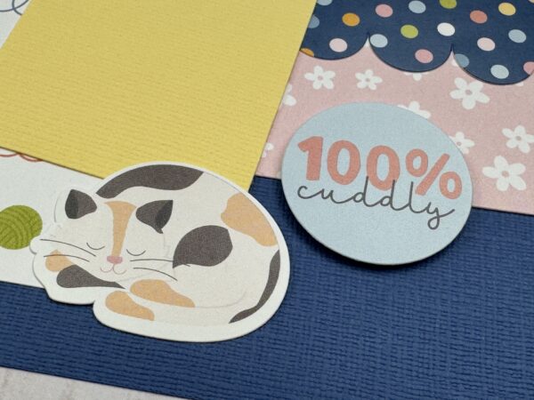 Echo Park Cat Lover