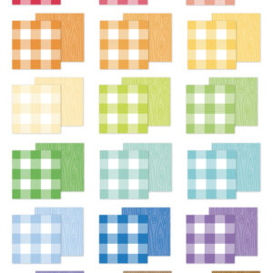 Doodlebug 6X8 Pad Buffalo Check-wood Grain Rainbow Petite Prints
