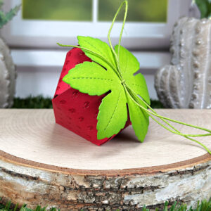 Lawn Fawn Strawberry Treat Box Dies