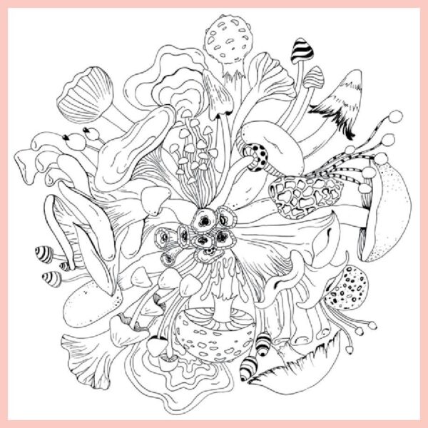 Woodland Wonderland: A Tranquil Coloring Retreat