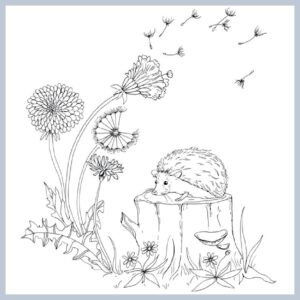 Woodland Wonderland: A Tranquil Coloring Retreat