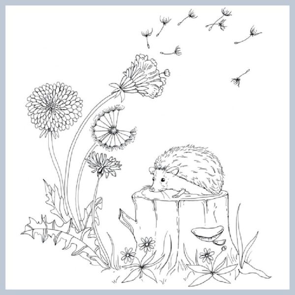 Woodland Wonderland: A Tranquil Coloring Retreat