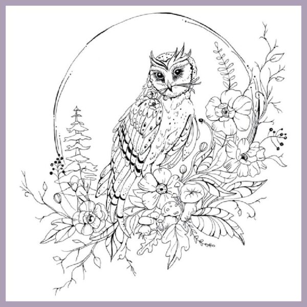 Woodland Wonderland: A Tranquil Coloring Retreat