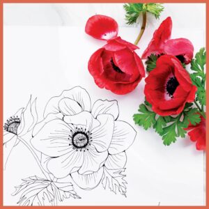 Floral Wonderland: A Blooming Coloring Retreat