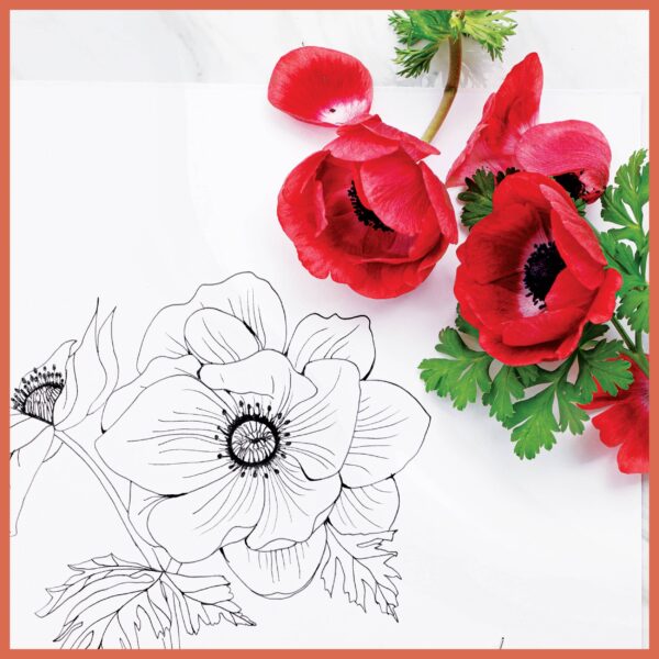 Floral Wonderland: A Blooming Coloring Retreat