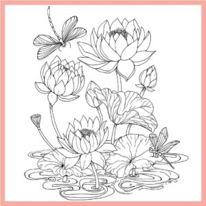 Tropical Wonderland: A Calming Coloring Book For Adults