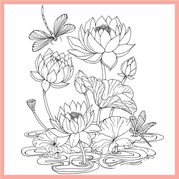Tropical Wonderland: A Calming Coloring Book For Adults