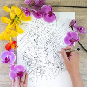 Tropical Wonderland: A Calming Coloring Book For Adults