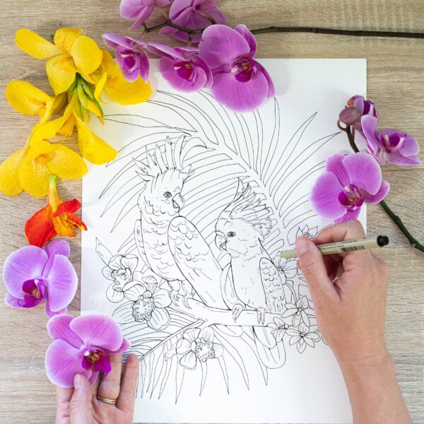 Tropical Wonderland: A Calming Coloring Book For Adults