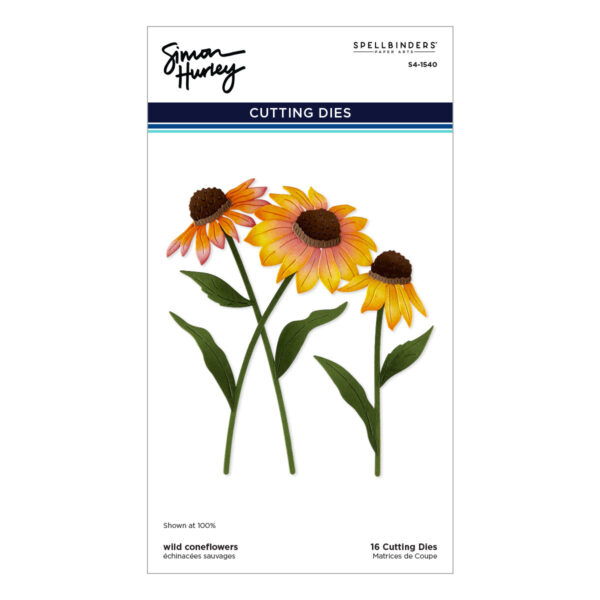 Spellbinders Wild Coneflowers Etched Dies By Simon Hurley