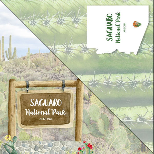 SCRAPBOOK CUSTOMS 12X12 SAGUARO NATIONAL PARK