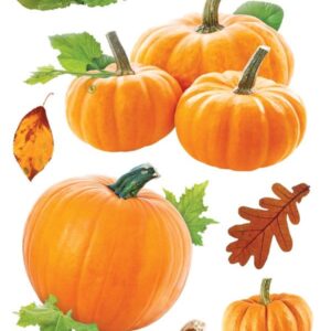 PAPER HOUSE PUFFY PUMPKINS