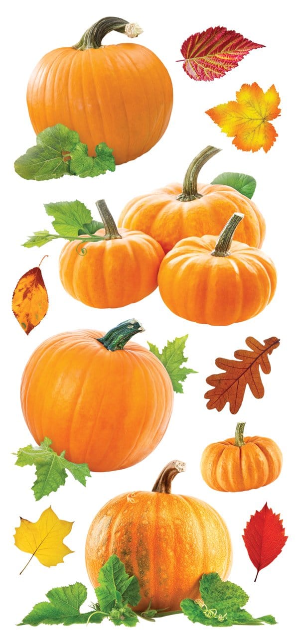 PAPER HOUSE PUFFY PUMPKINS