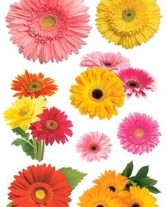 PAPER HOUSE GERBERA DAISIES