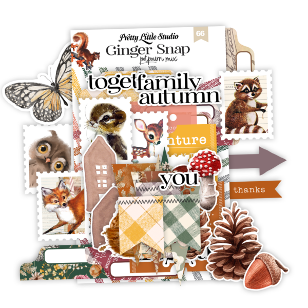 Pretty Little Studio Ginger Snap Die-cuts Potpourri Mix