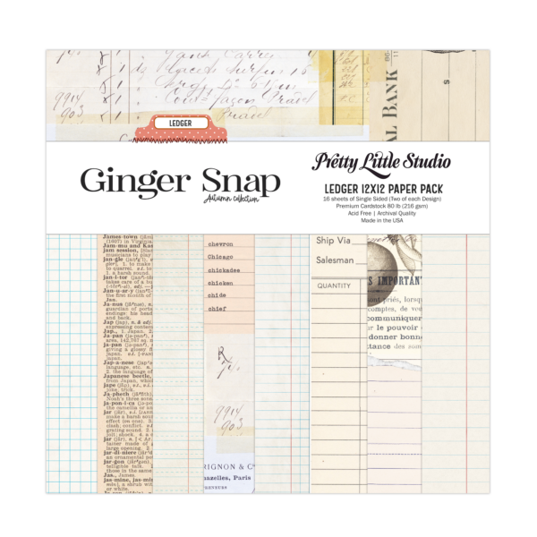 Pretty Little Studio Ginger Snap 12X12 Ledger Paper Pack Single-sided