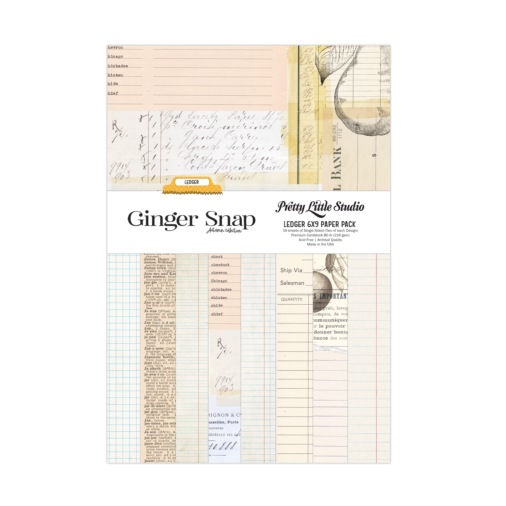Pretty Little Studio Ginger Snap 6X9 Ledger Paper Pack