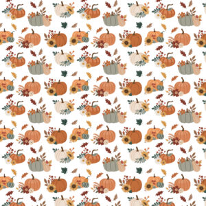 Echo Park Feels Like Fall 12X12 Gourd Gathering