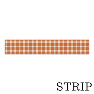 Echo Park Feels Like Fall Autumn Gingham Washi Tape