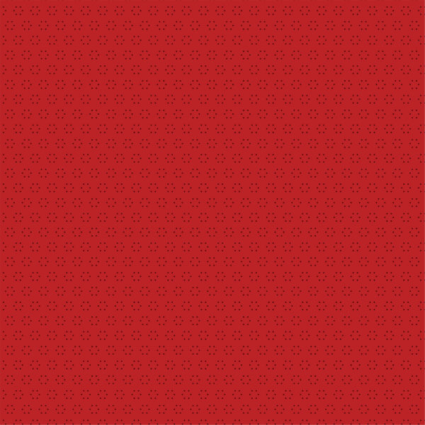 Echo Park North Pole Christmas 12X12 Notes To Santa